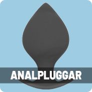 Analpluggar