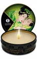 Shunga Massage Candle Green Tea 30 ml