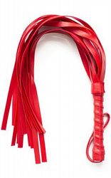 3 fr 300kr Squash Whip Red